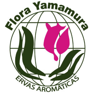 FLORA YAMAMURA