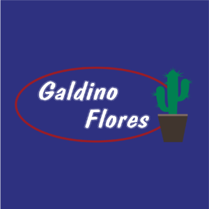 GALDINO FLORES