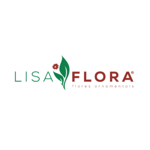 LISA FLORA
