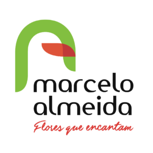MARCELO ALMEIDA