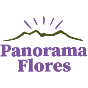 PANORAMA FLORES