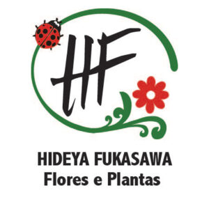 HIDEYA FUKASAWA