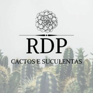 RDP CACTOS E SUCULENTAS