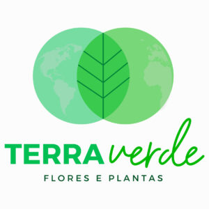 TERRA VERDE FLORES E PLANTAS