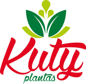 KUTY PLANTAS